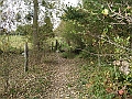 futur trail 023